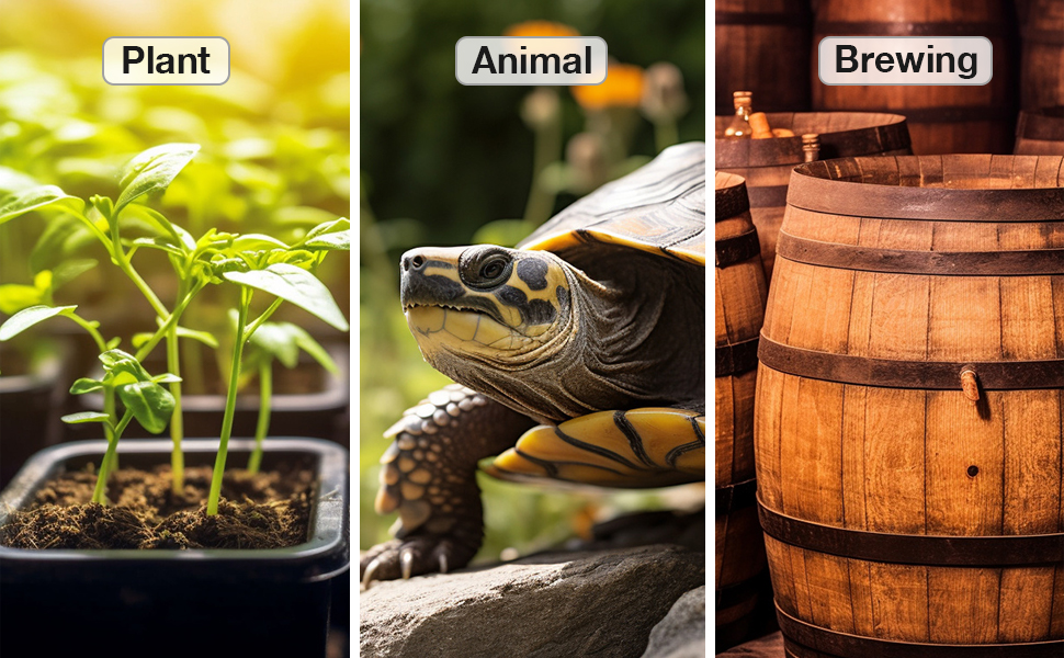 wärmematte pflanzen anzucht