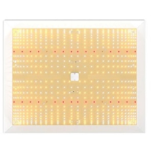 cannabis anbau set weed zubehör growbox komplettset 60x60x180 80x80x180 40x40x160