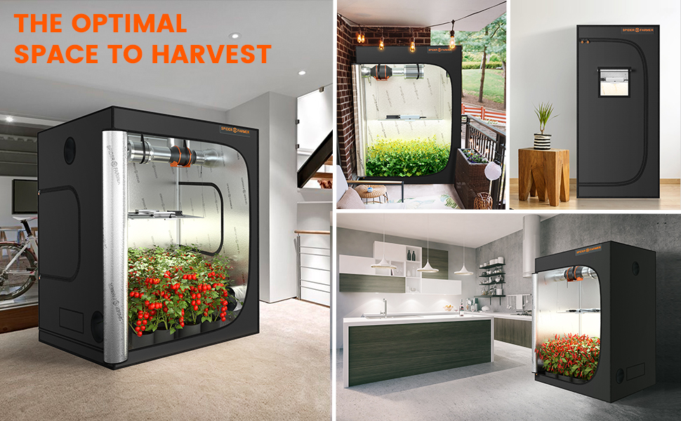 spider farmer grow tent