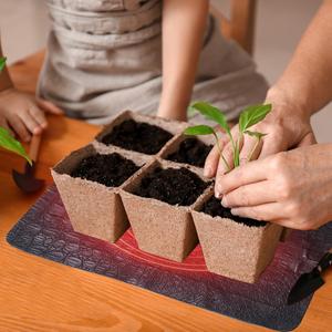 EL1571601-0-scene-02- (6).jpg