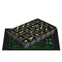 seedling heat mat