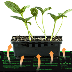 Heizmatte Pflanzen mit Thermostat