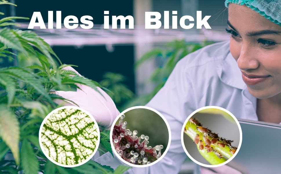 Grow Taschenmikroskop