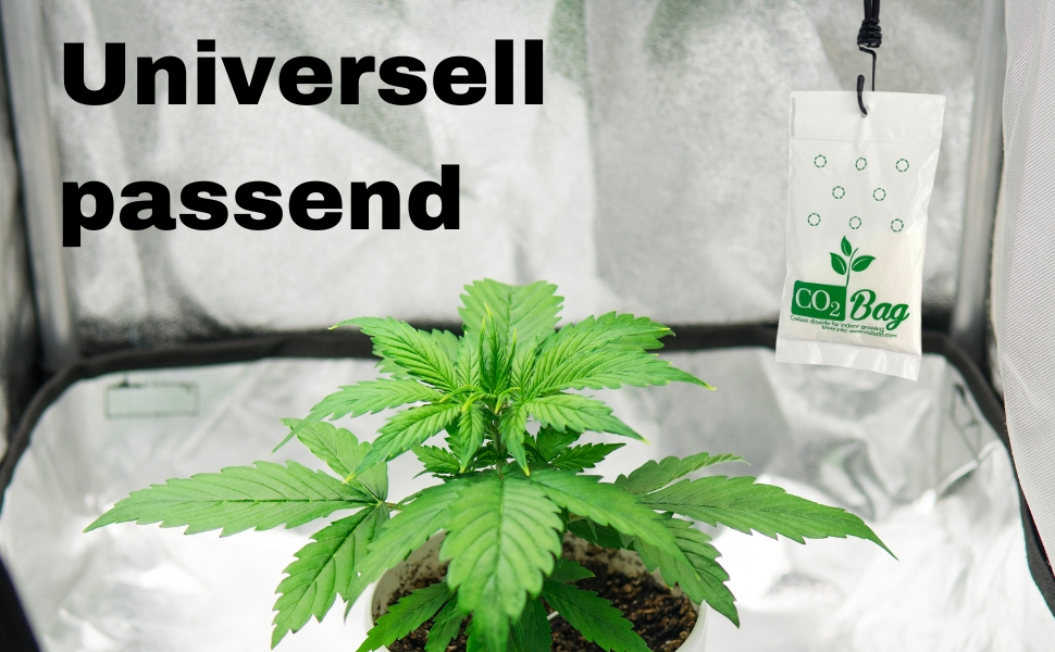 Co2 Bag Grow Blüte Booster Dünger