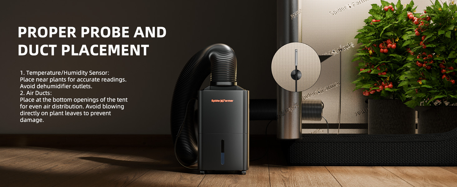 luftentfeuchter growbox