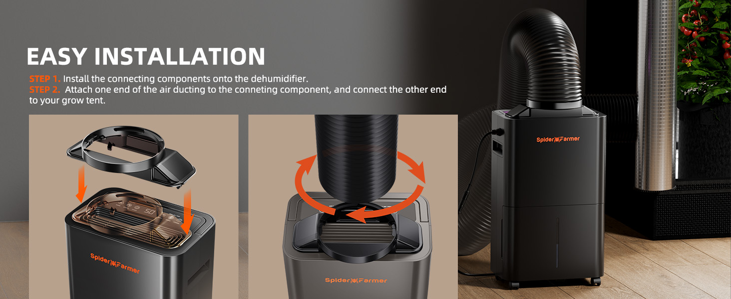 luftentfeuchter pflanzen